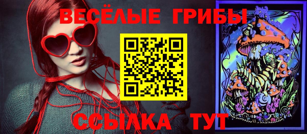 Галлюциногенные грибы MAGIC MUSHROOMS Карпинск
