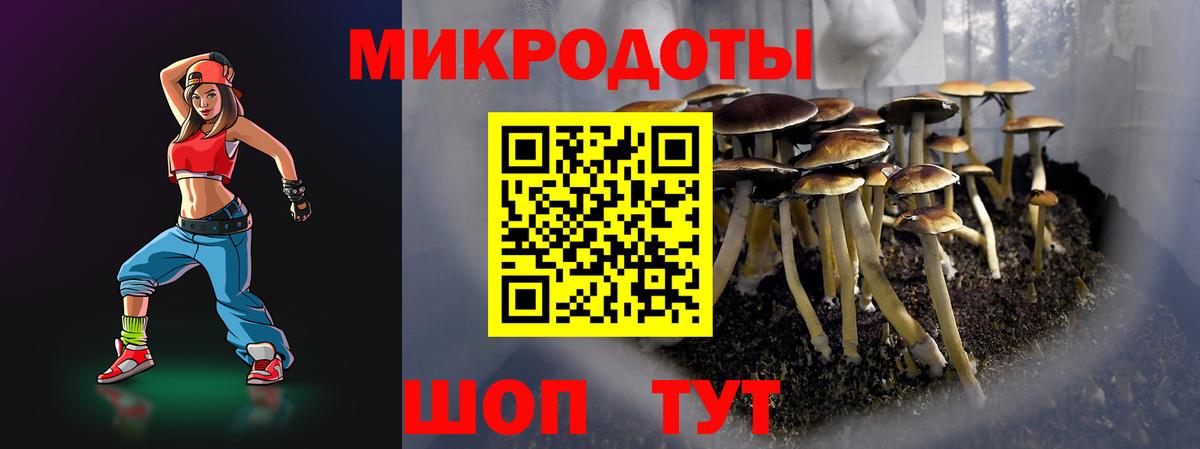 Галлюциногенные грибы мухоморы  Вход с VPN  Карпинск 